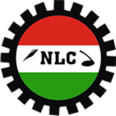 NLC LOGO